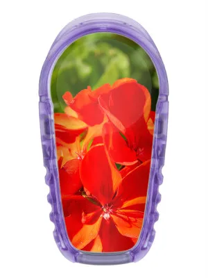 2x Blume Rot