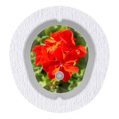 2x Blume Rot