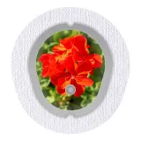 2x Blume Rot