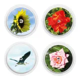 Set 4